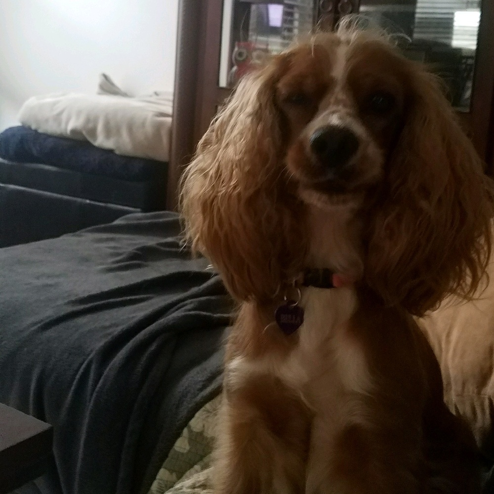 Meet your Posher, Sara